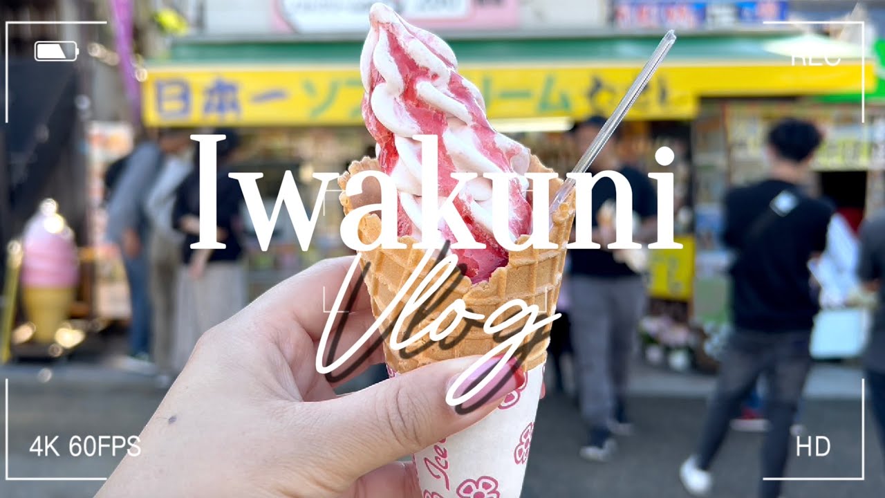 RETURNING TO IWAKUNI - JAPAN VLOG 2024