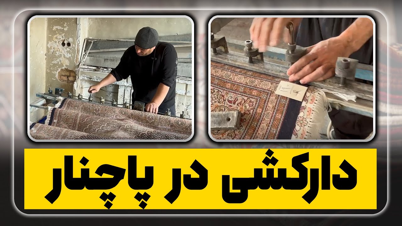 دارکشی در پاچنار
