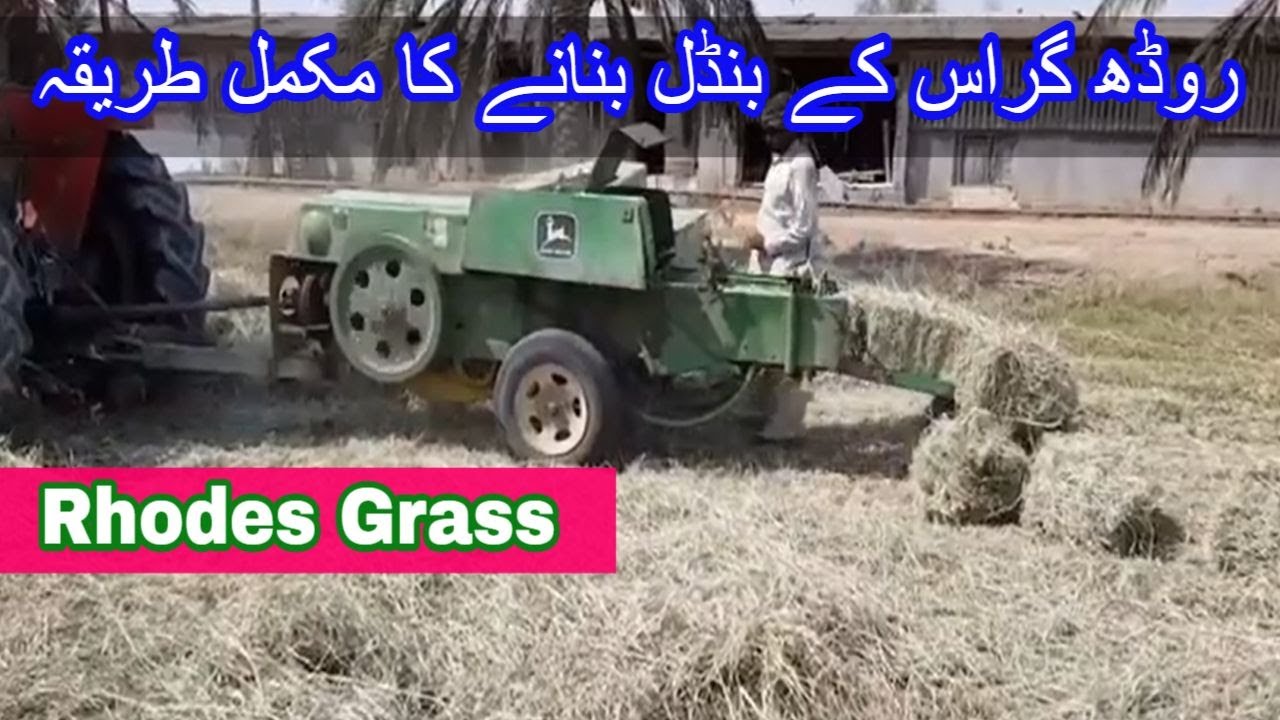 Rhodes Grass, How to make Rhodes Grass into hay bales?     روڈھ گراس
