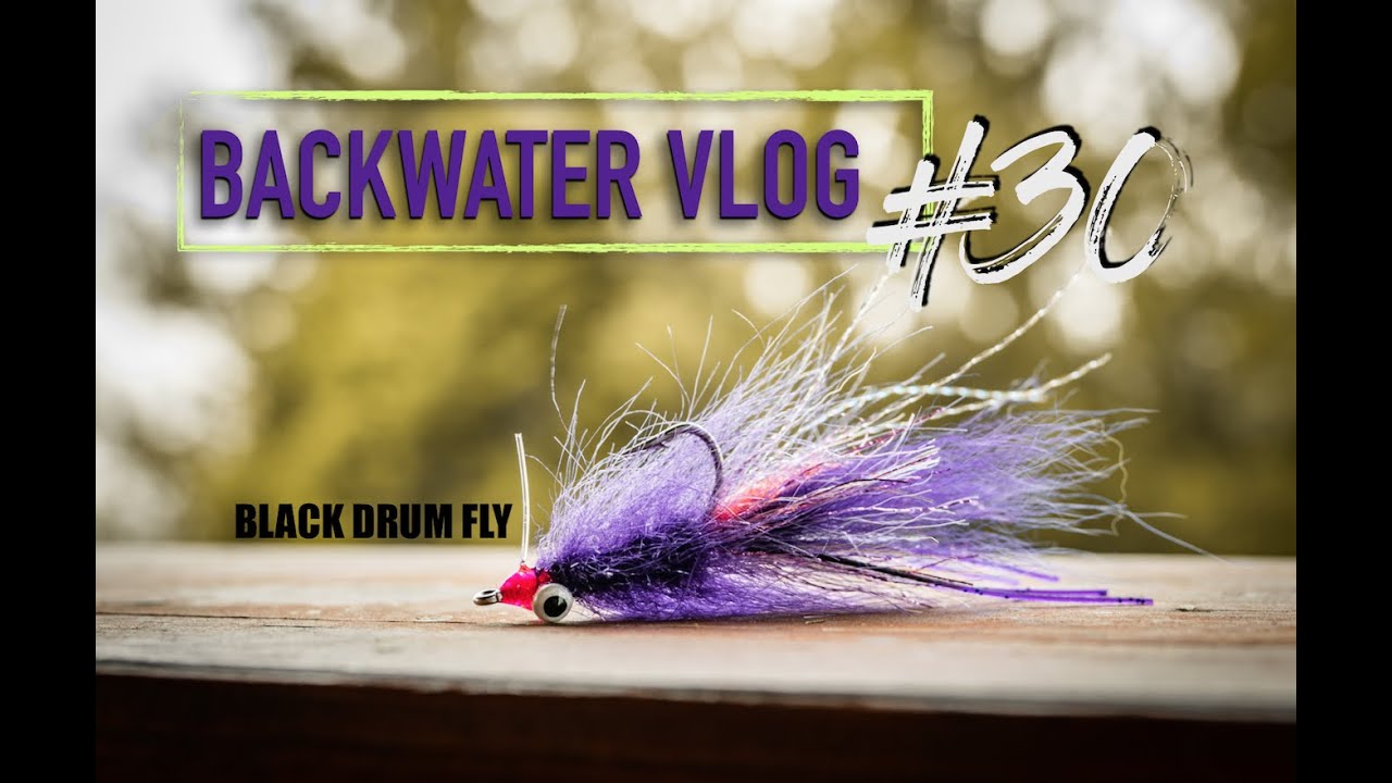 EZ Black Drum and Redfish Fly: BACKWATER VLOG #30