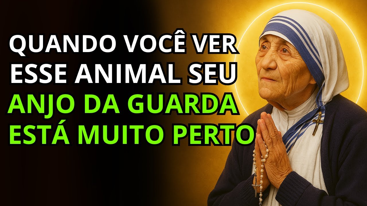 SE TEM ESSE ANIMAL, TEM UM ANJO DA GUARDA SEGURANDO TUA MÃO