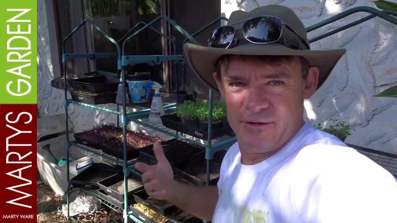Micro Farm Tour at Martys Garden Australia