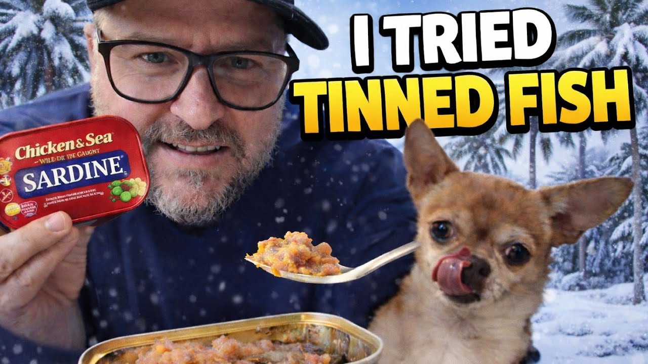 I Tried Tinned Fish So You Don’t Have To 😅 (With Zeus the Chihuahua)