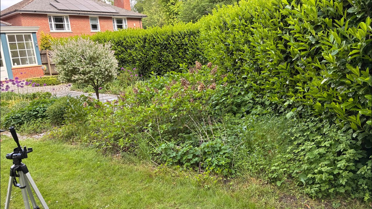 A week in the life of a UK gardener | Ep 06 | weeds have gone mad!