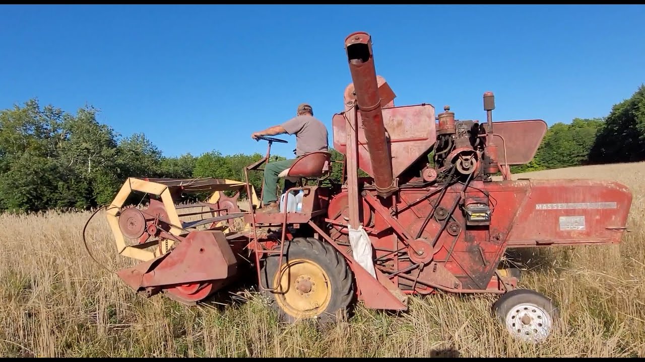 Farming - Harvesting Rye with a early 1960's Massey Ferguson Super 35 Combine