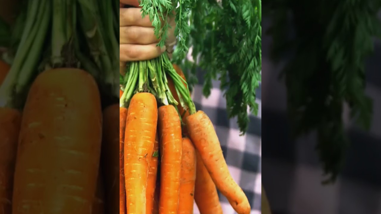 Morcovii nu sunt buni doar pentru vedere!Bogati &icirc;n betacaroten, fibre și antioxidanți!#food #facts