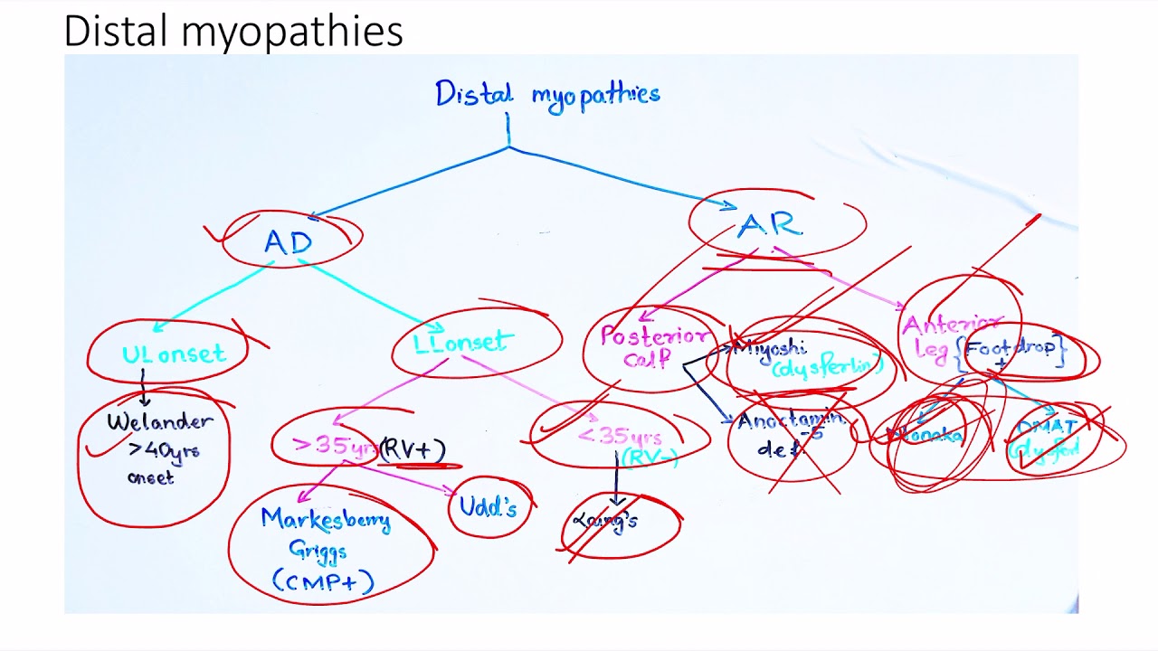 Myopathies simplified