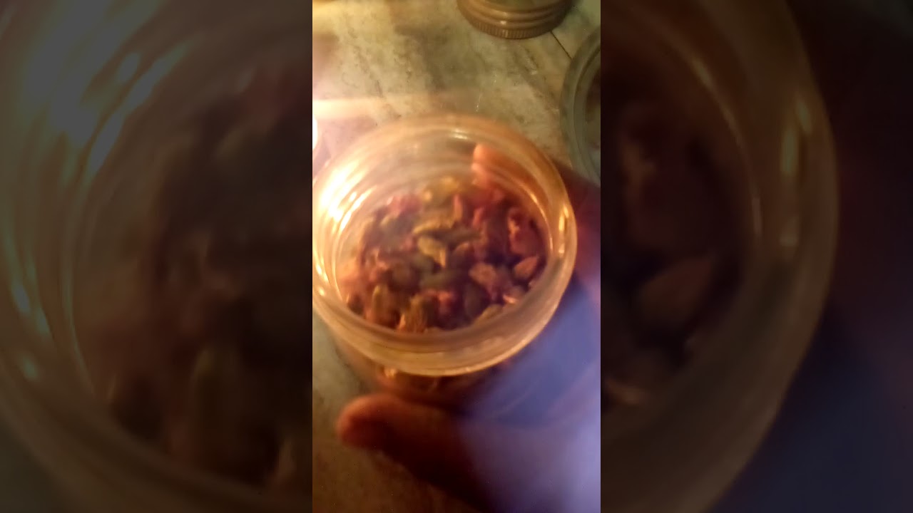 How To Make Spruce Needle Tea