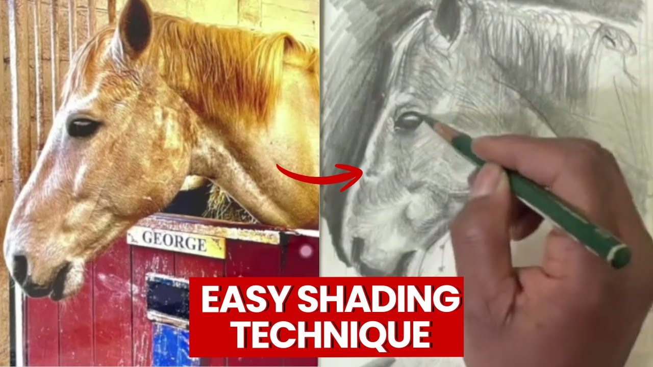 How I Draw Horses Step by Step!
