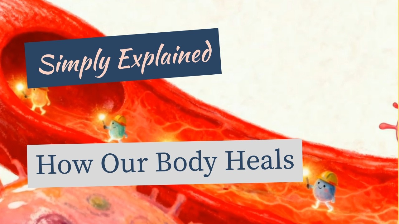 How Our Body Heals (Science of Recovery and Self-Healing) - Simply Explained