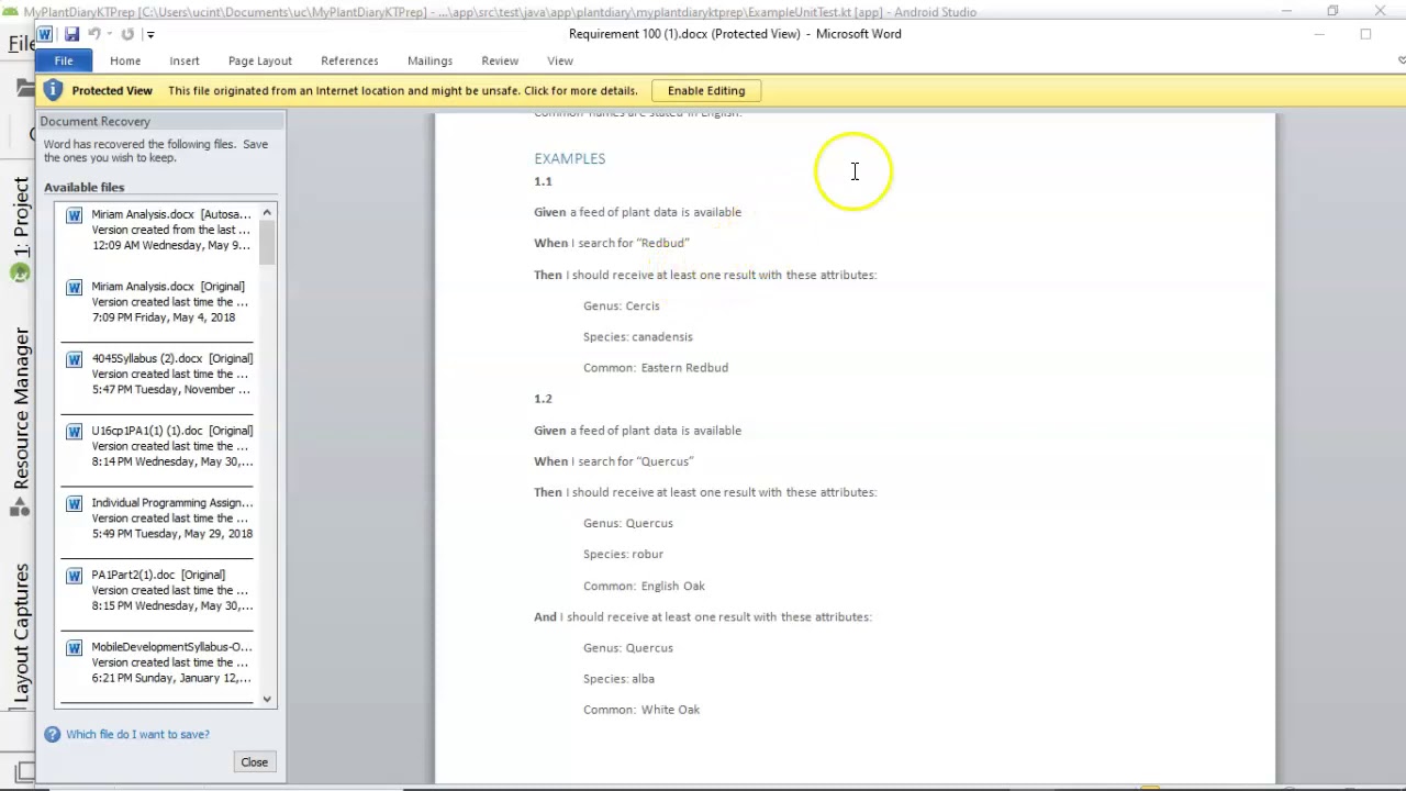 Requirements Document As a User Given When Then, Unit Tests, CI/CD Pipelines