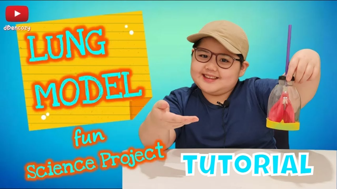Lung Model Science Project | Balloons and Straws | Respiratory System [IND Sub] #lungmodeltutorial