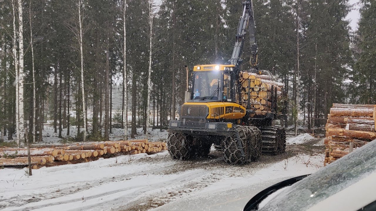 Pari mäntytukki kuormaa ja pieni purkuhomma  - Ponsse Elk -
