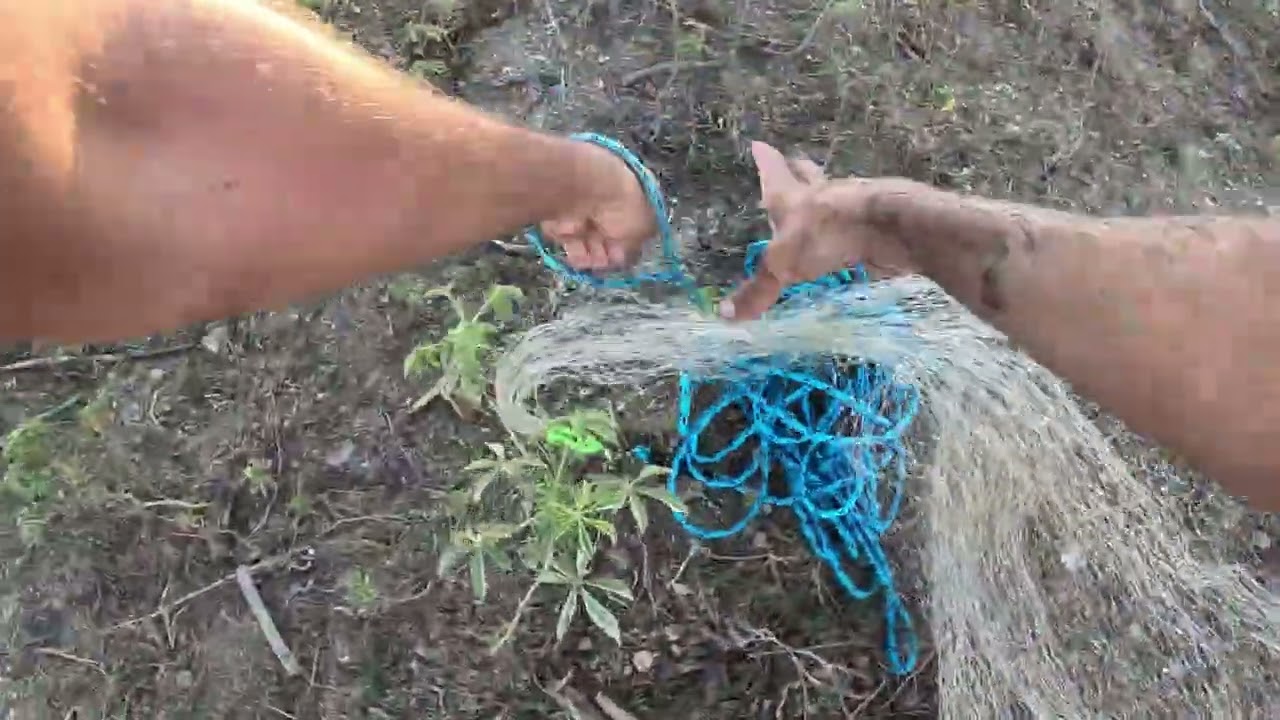 Tentei pescar com vara mas não deu e tive que apelar para tarrafa kk, só assim para garantir o frito