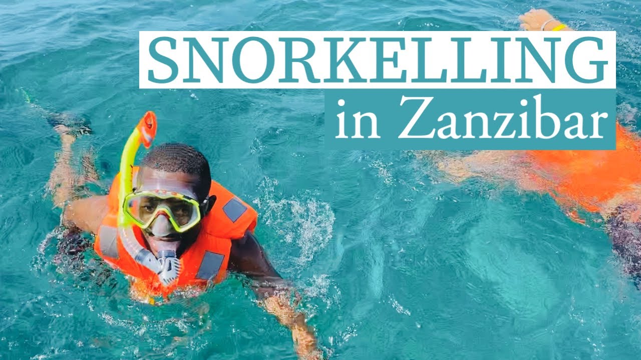ZANZIBAR VLOG [Part 3/4] Safari Blue Experience | Snorkelling | Kwale Island | Menai Bay