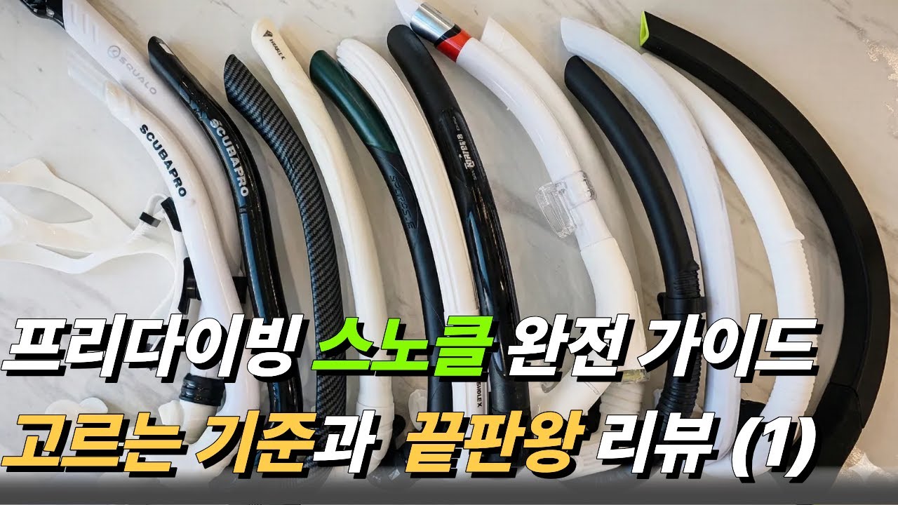 프리다이빙 스노클 완전 가이드 입문자 초보자 중복구매를 막는 제품 추천