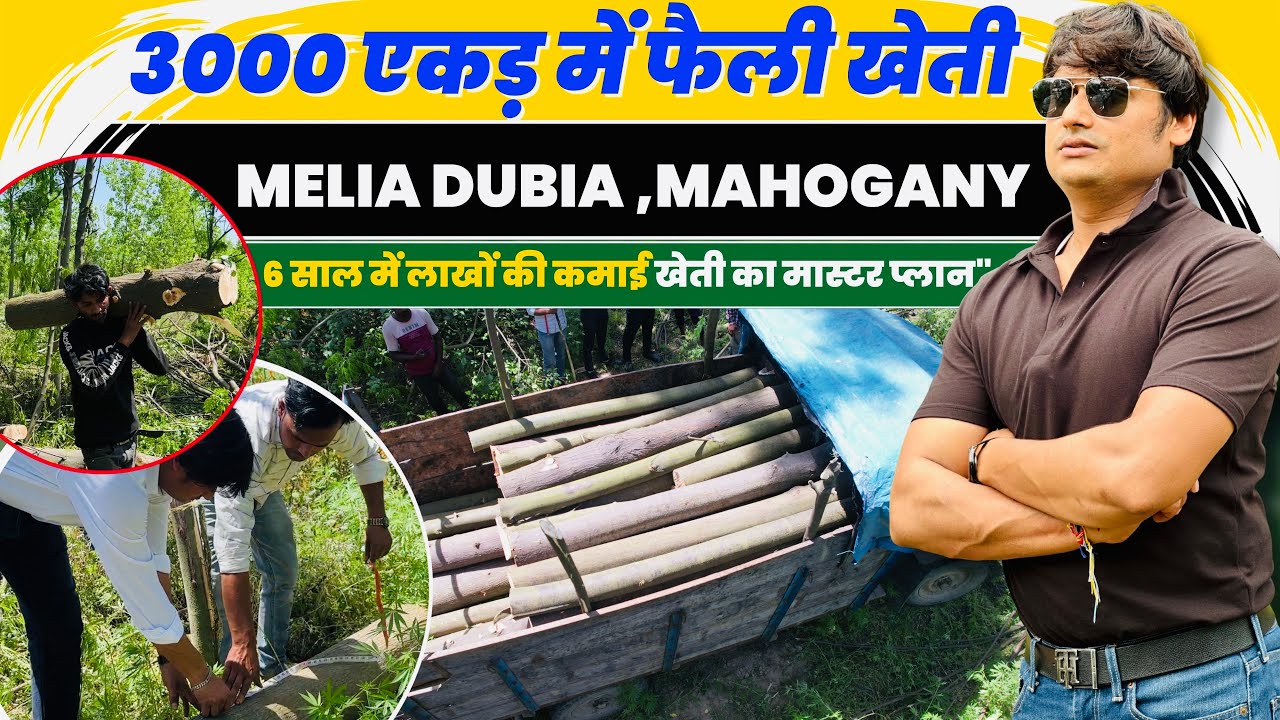 1 एकड़ से 25 लाख की कमाई 😲 खेती का कमाल!