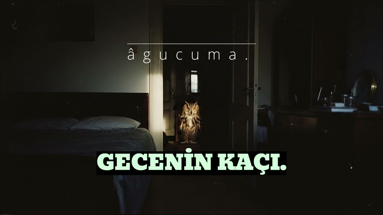âgucuma. - gecenin kaçı. 🌙 | Lofi House Night Drive (Bass Boosted)