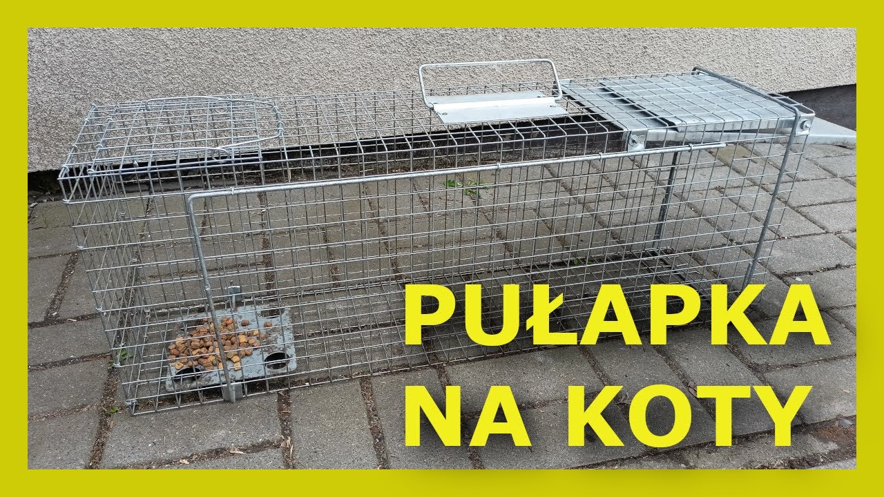 Klatka, Pułapka na Koty, Kuny, Szczury, Lisy