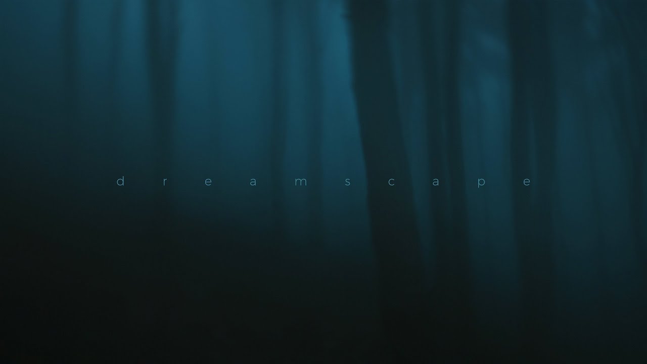 .diedlonely - bipolar