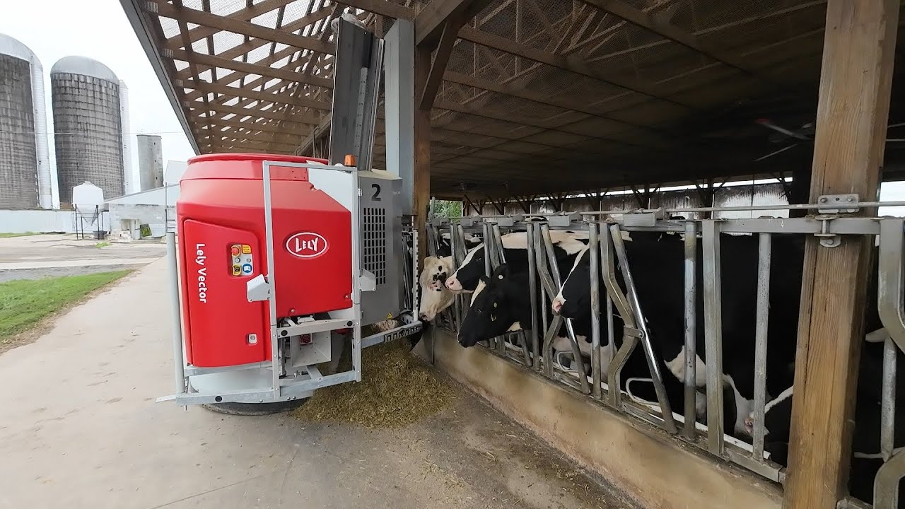 Lely Vector Automatic Feeding System Startup