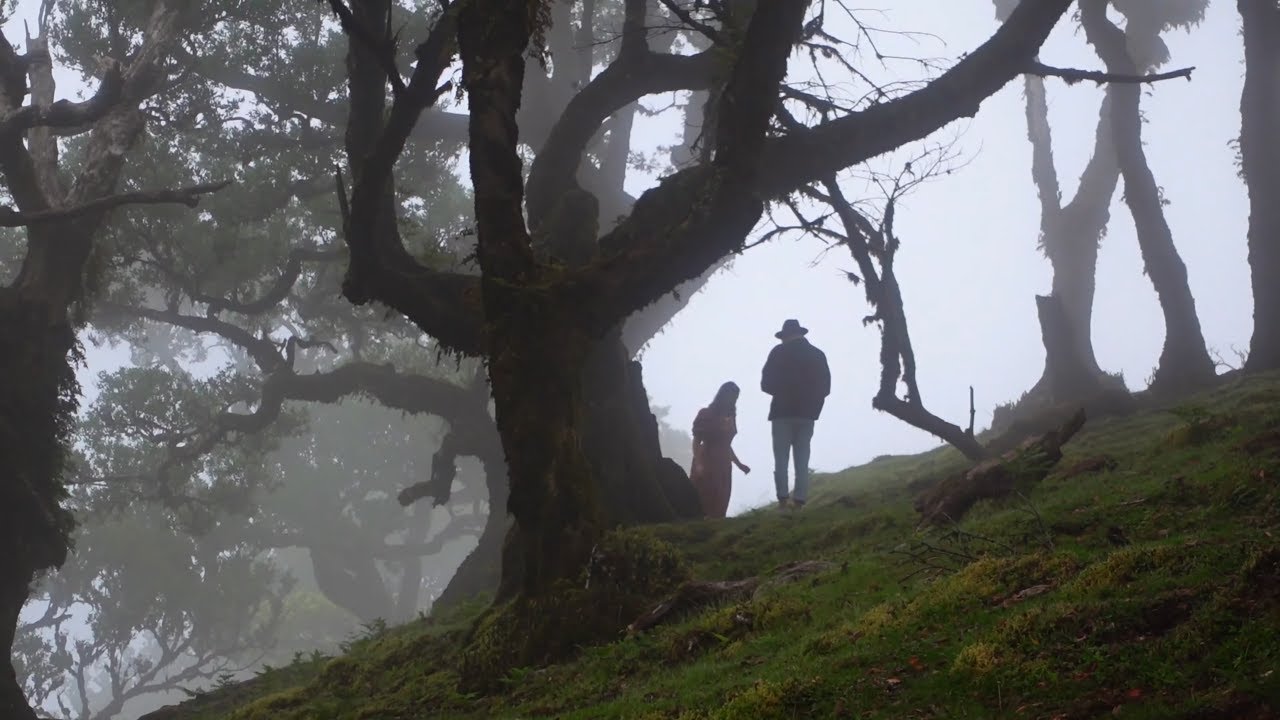 The Mysterious Foggy Forest of Madeira...  Madeira Vlogs EP 3