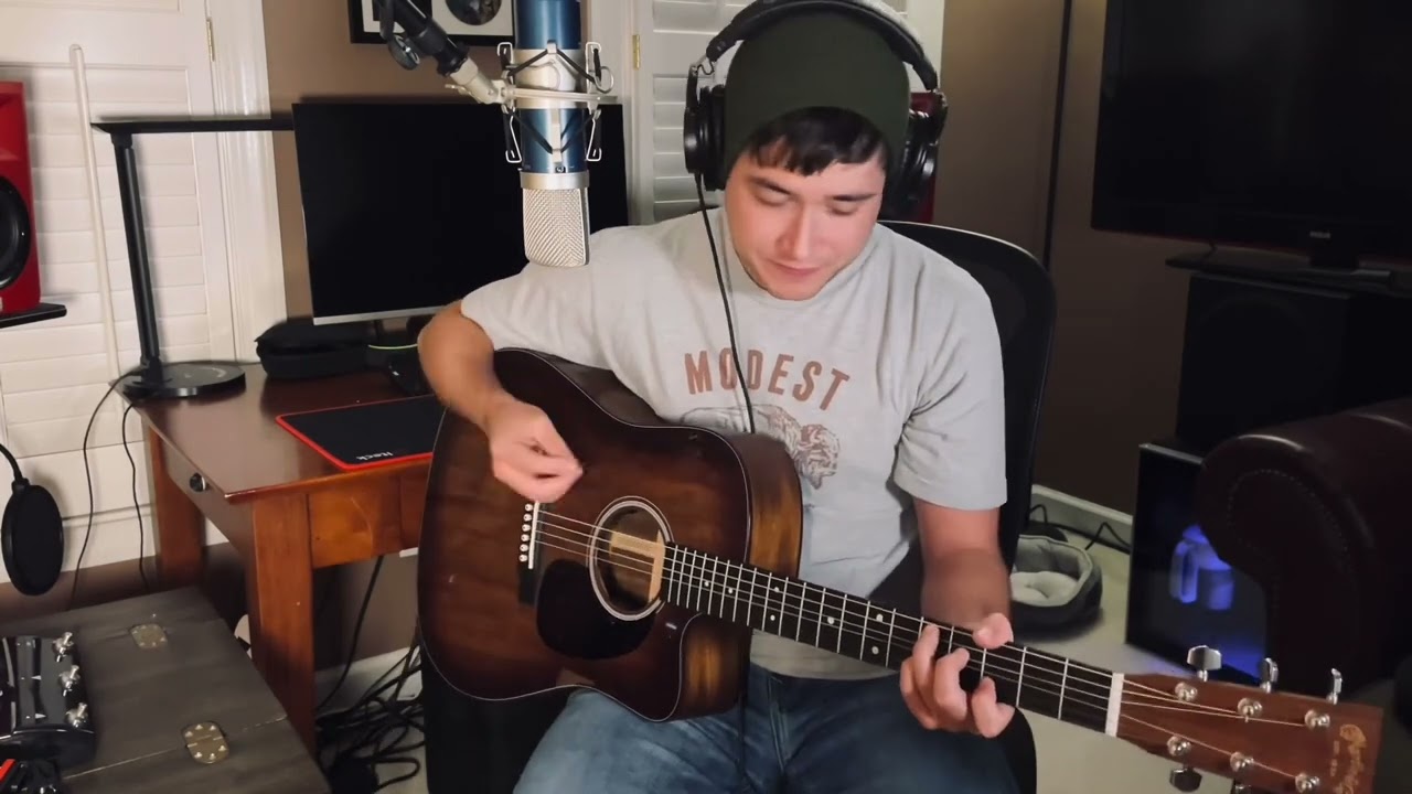 I Would Hurt a Fly (Built to Spill Cover)