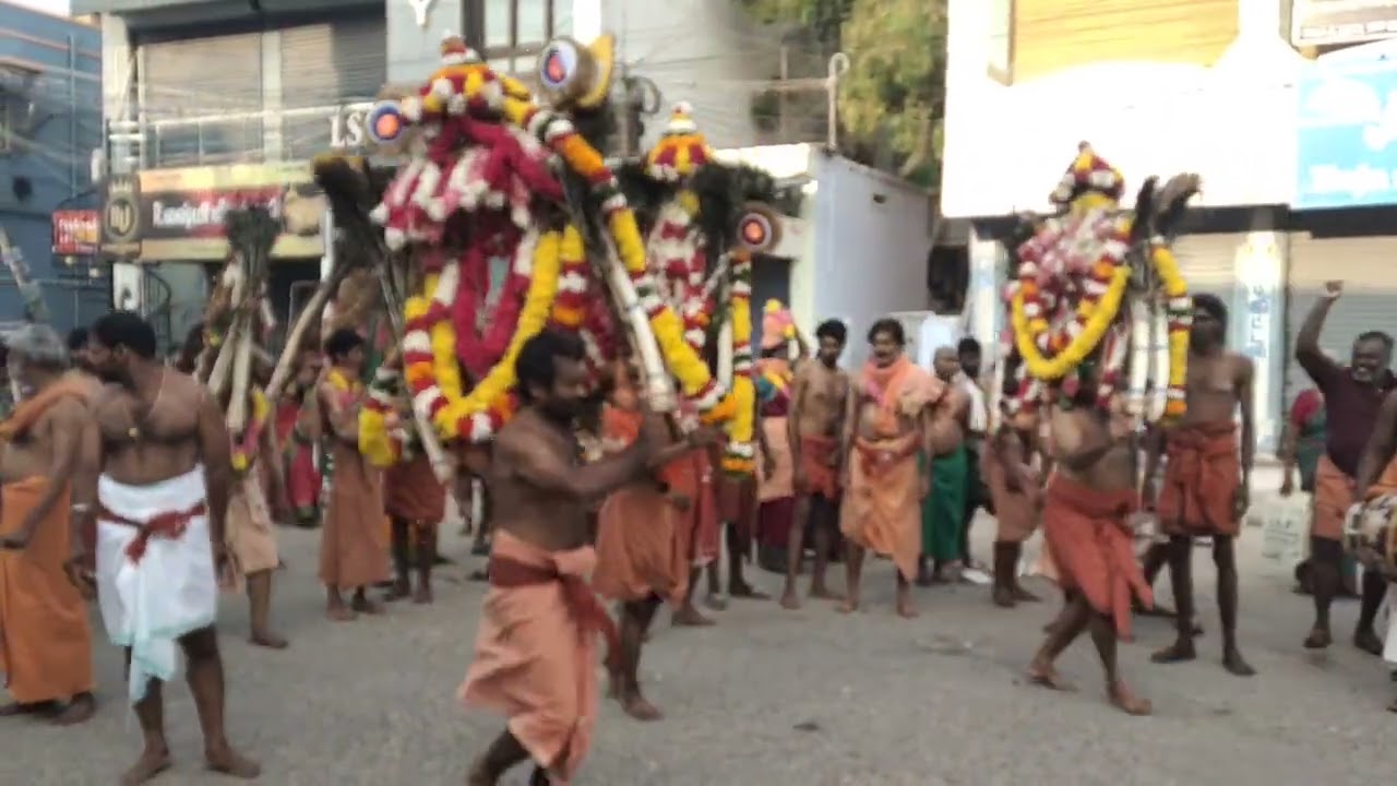#திருச்செந்தூர் #மாசி_காவடி #முருகா_சரணம்