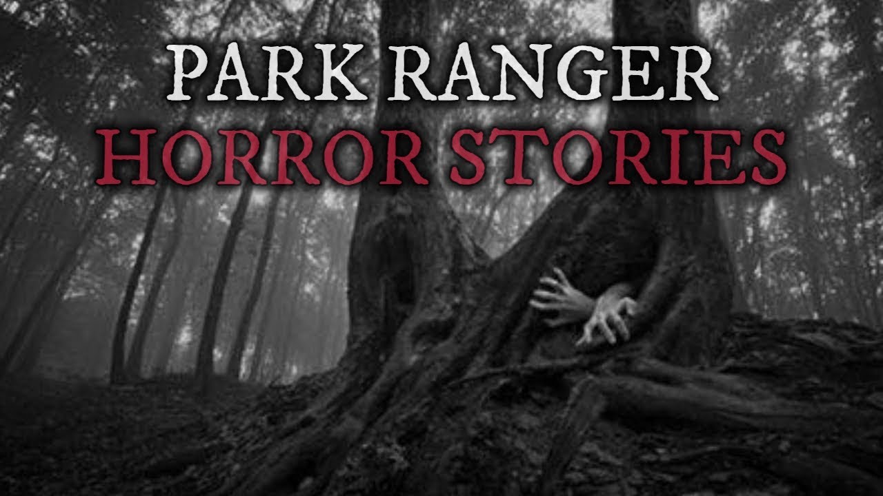 5 Scary Park Ranger Stories (Vol. 12)