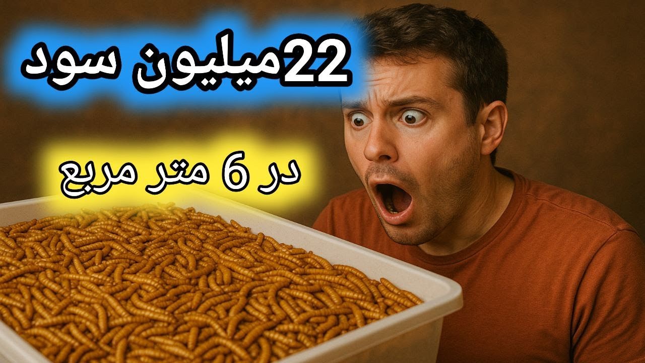 سود پرورش میلورم چقدر است , سود بالای پرورش میلورم , درآمد بالای سوسک تاریکی , کسب و کار پر درآمد