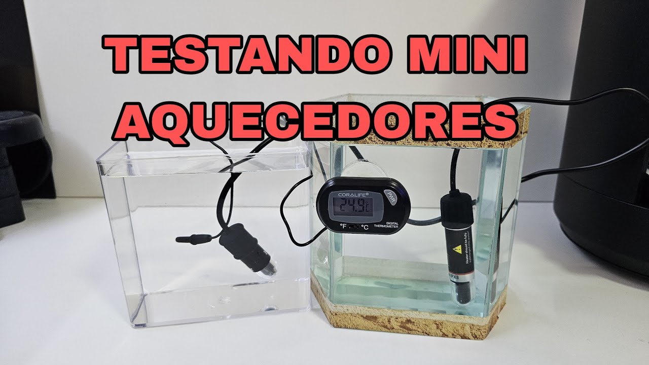 Testando mini aquecedores para aquários pequenos