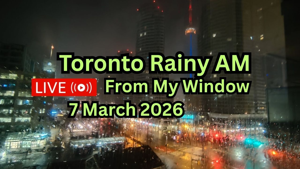 🔴Toronto Window Cam LIVE HD | MaoChow Adventure 7th March 2026 Rainy Morning vibes