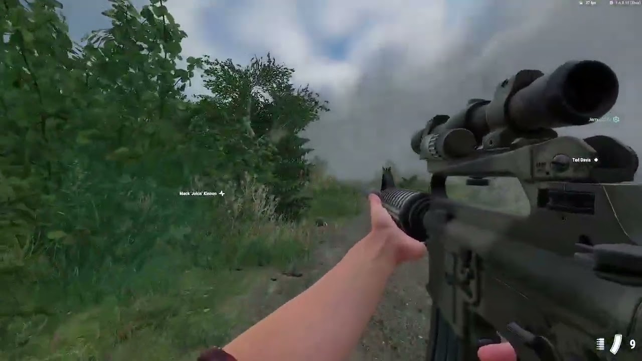 Dayz