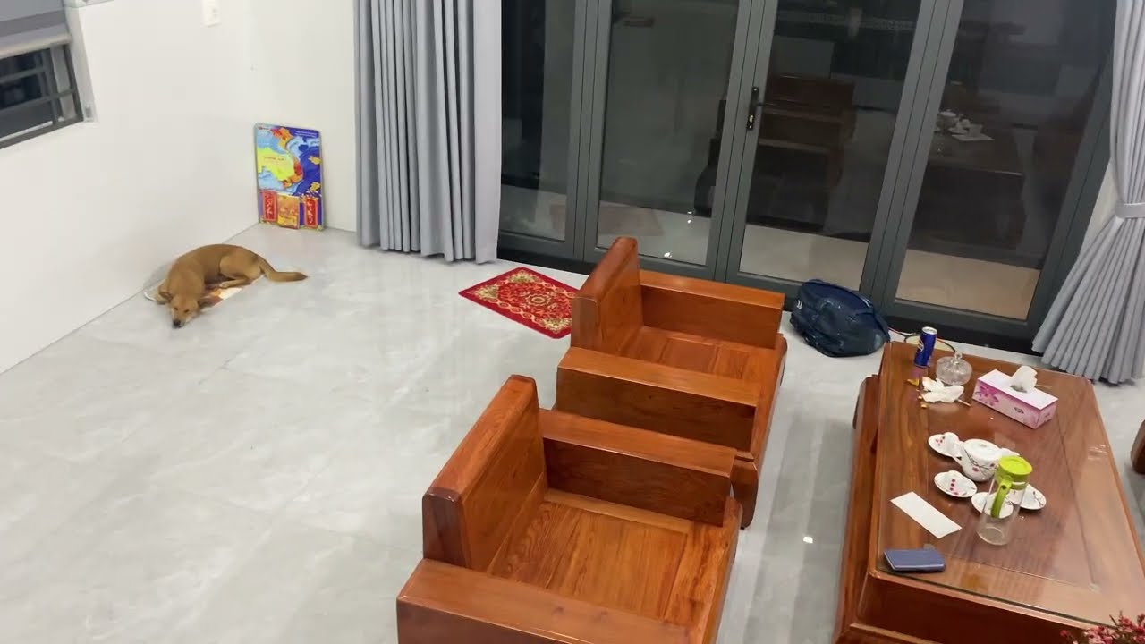 My house 10.2.2026