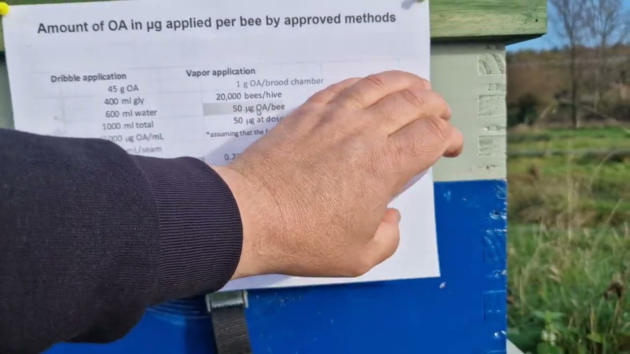 Oxalic pentru tratarea varozei. Detalii bazate pe experiment științific.