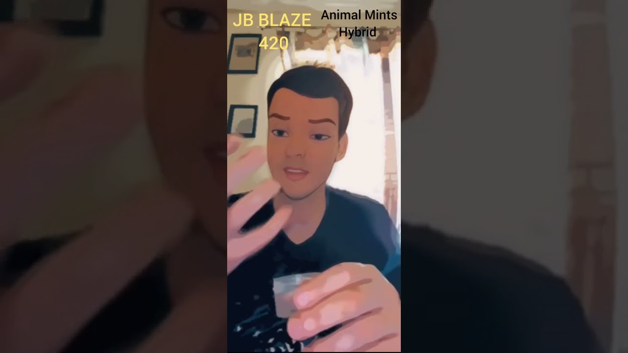 Animal Mints strain review