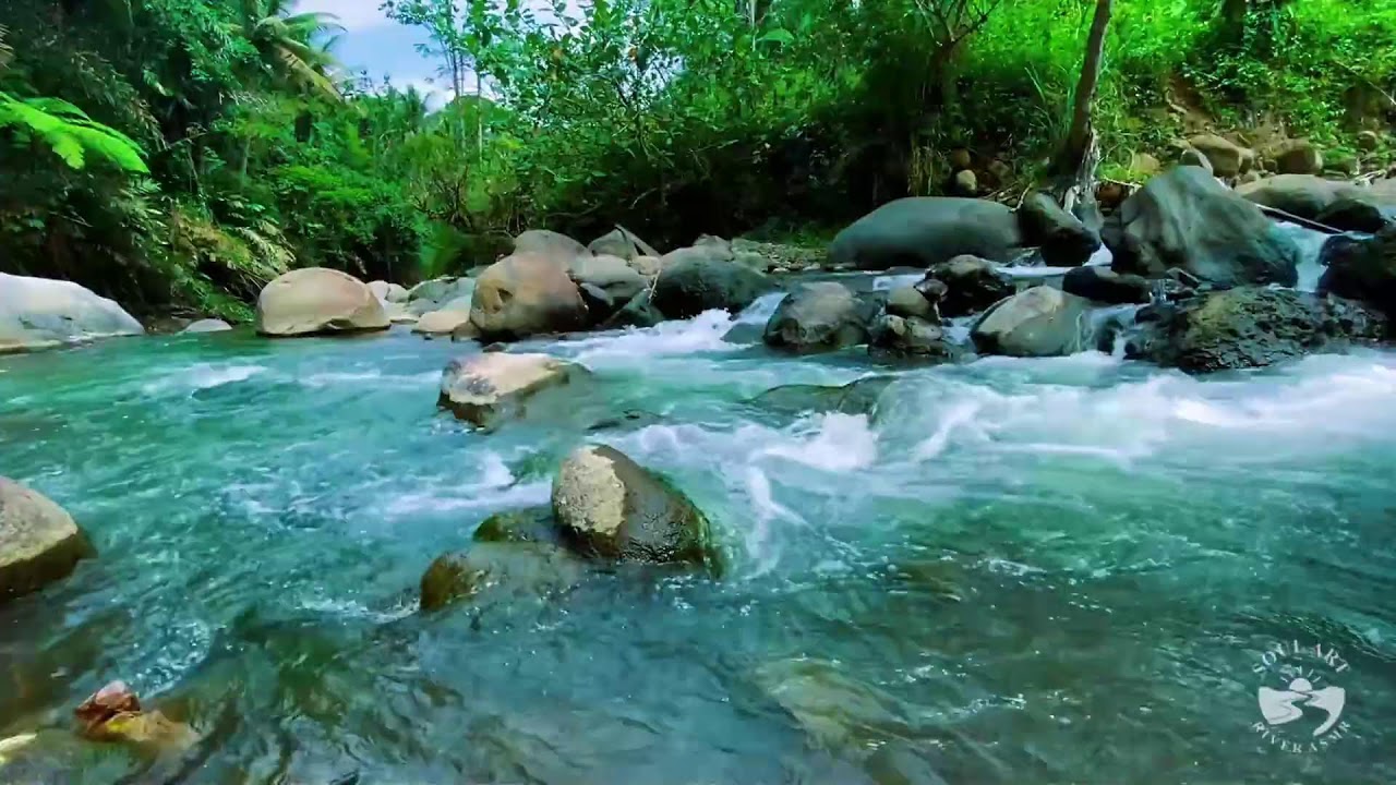 River Sounds & waterfall Sounds for Sleeping | Nature Stream for Relaxing & Stress Relief. #river 5