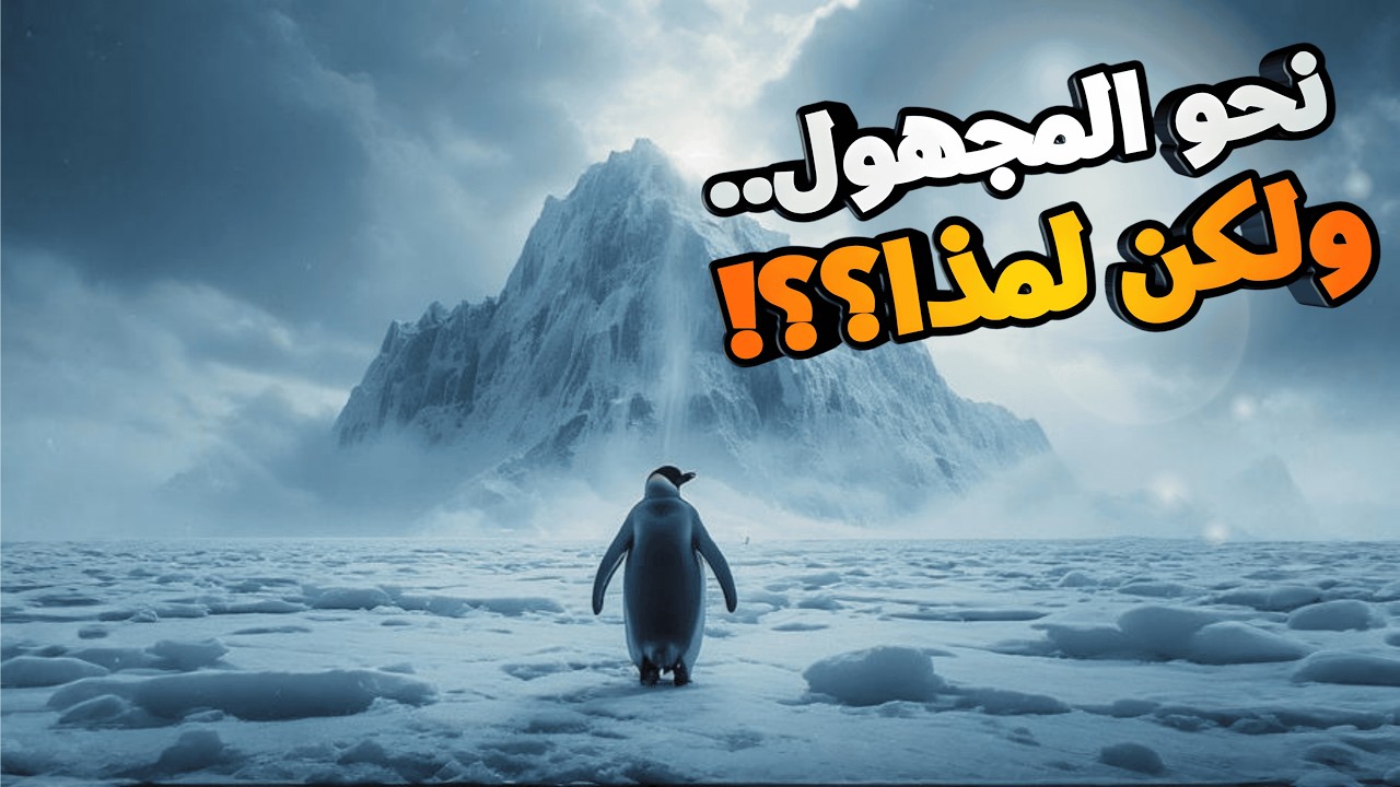 البطريق الذي حير الجميع.. وماذا يمكن أن نتعلمه منه؟