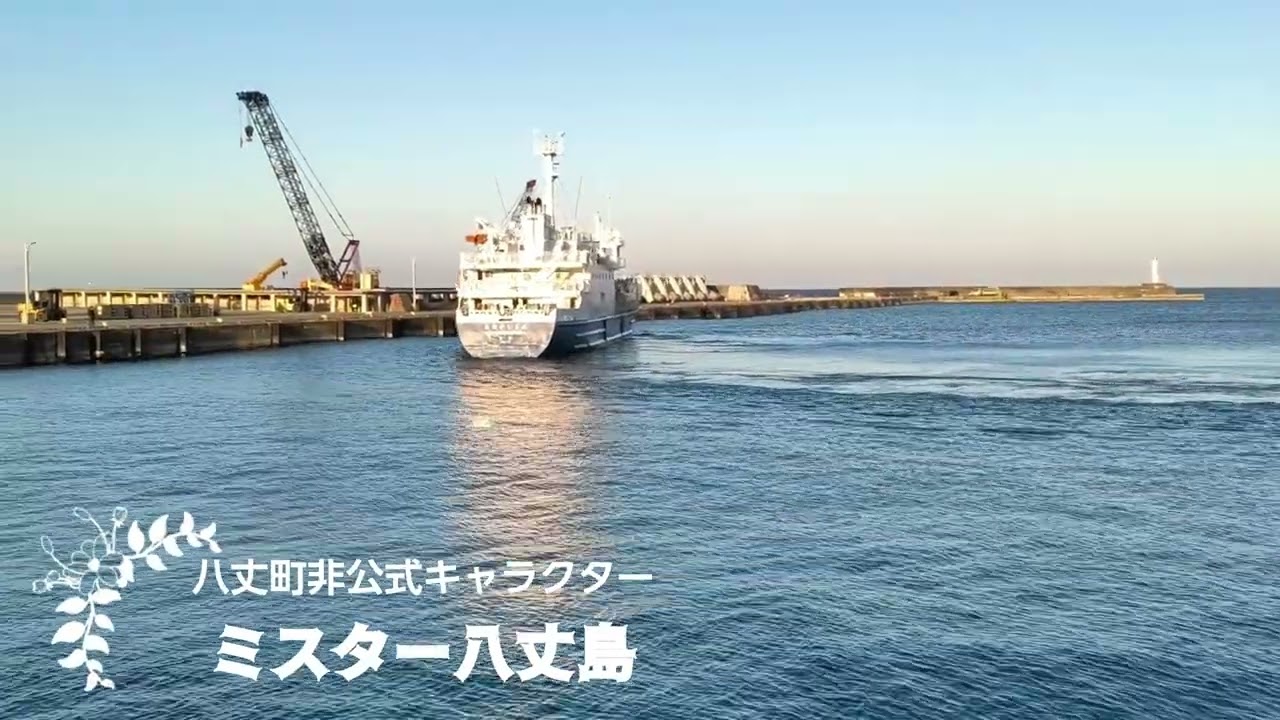 あおがしま丸入港