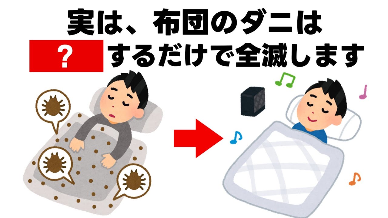 【ライフハック雑学】布団のダニを全滅させる方法