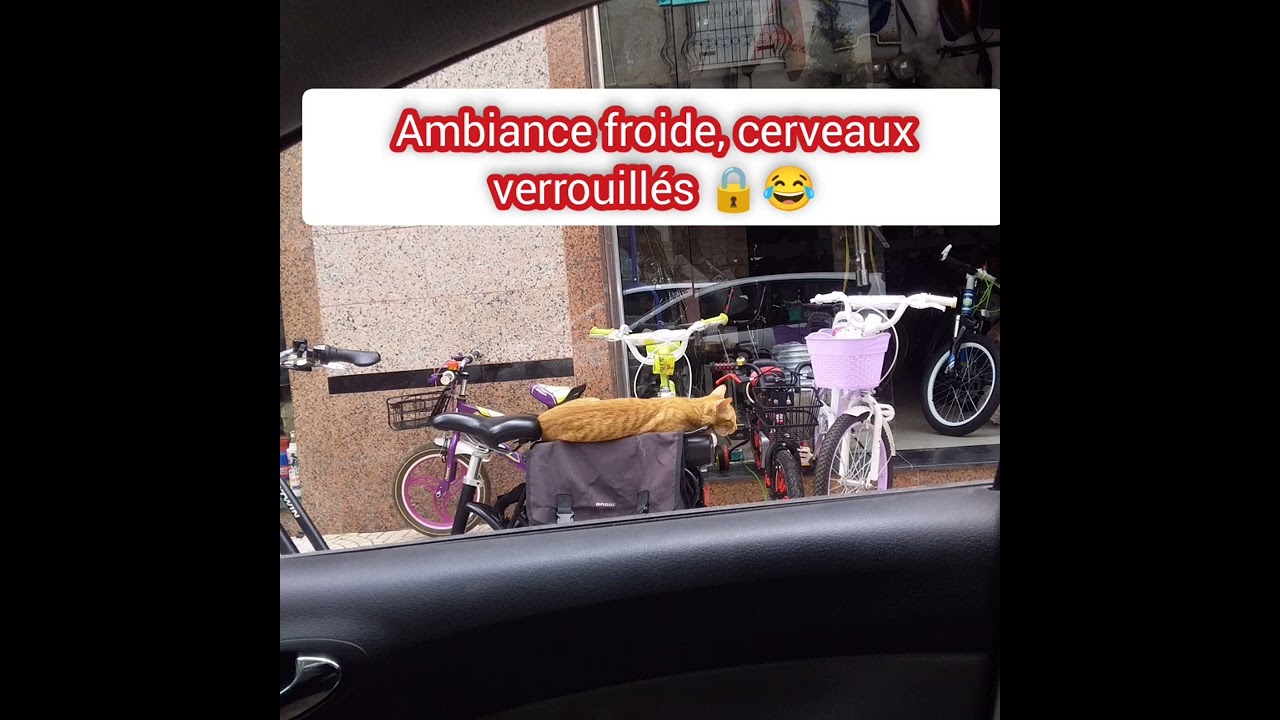 Quand le sourire est en congé 😅 