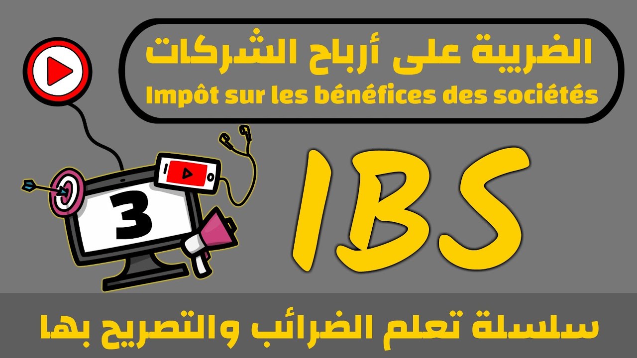 الضريبة على أرباح الشركات (IBS) والتصريح بها G50