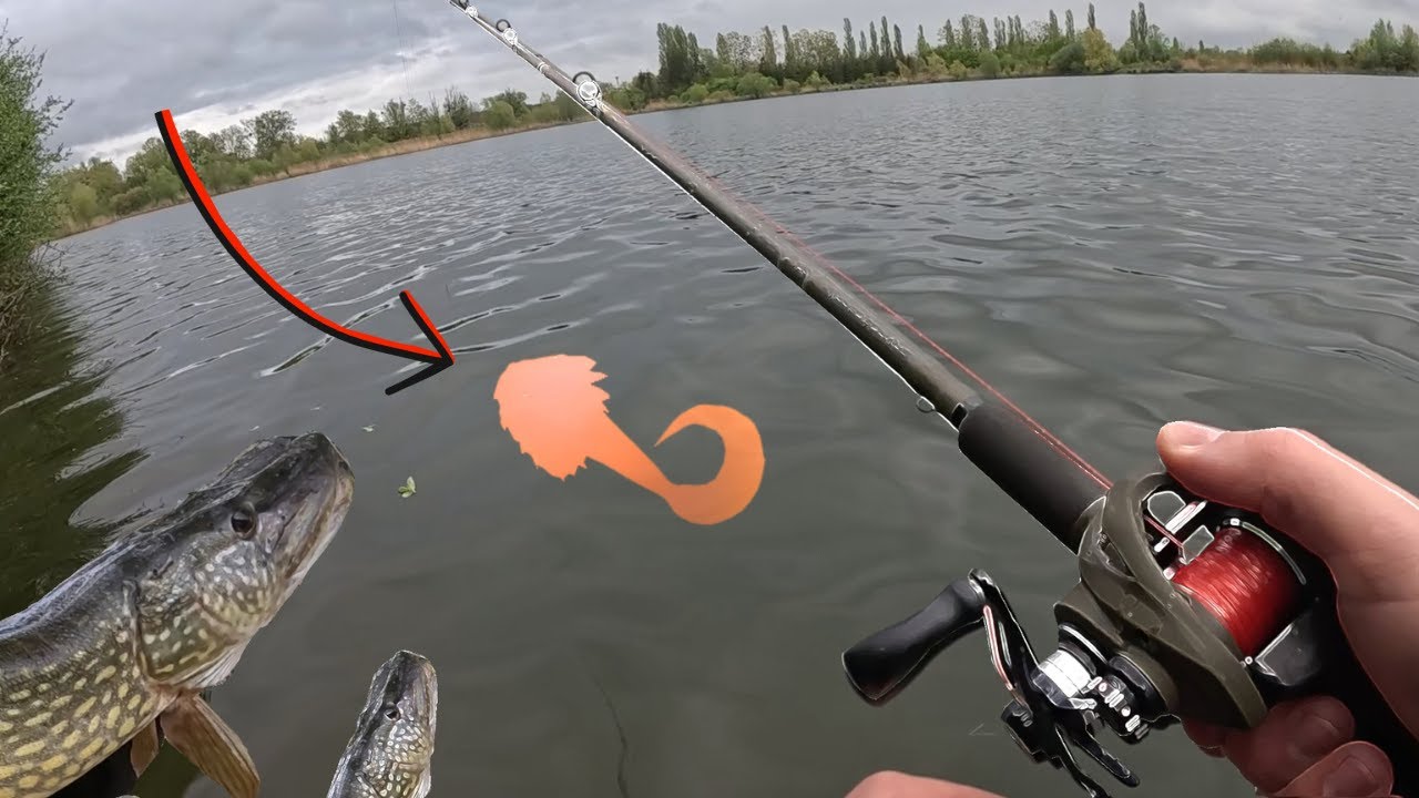 Ouverture BROCHET : Il ne fallait qu'UN LEURRE !