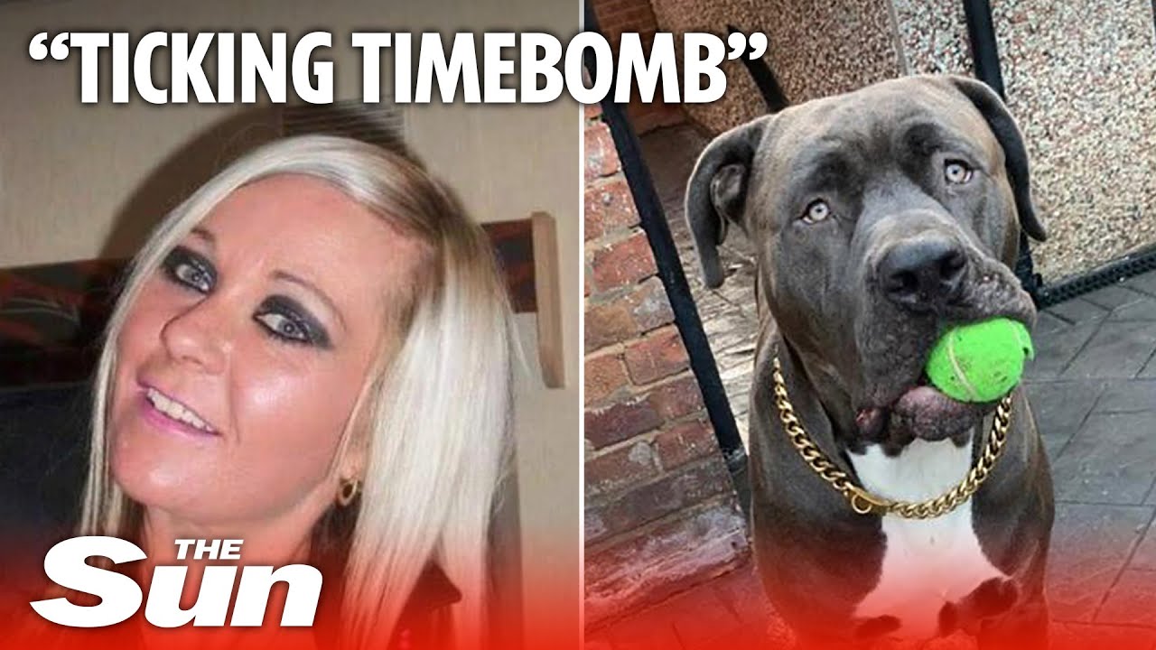 My daughter was killed separating her ‘super breed’ XL bullies