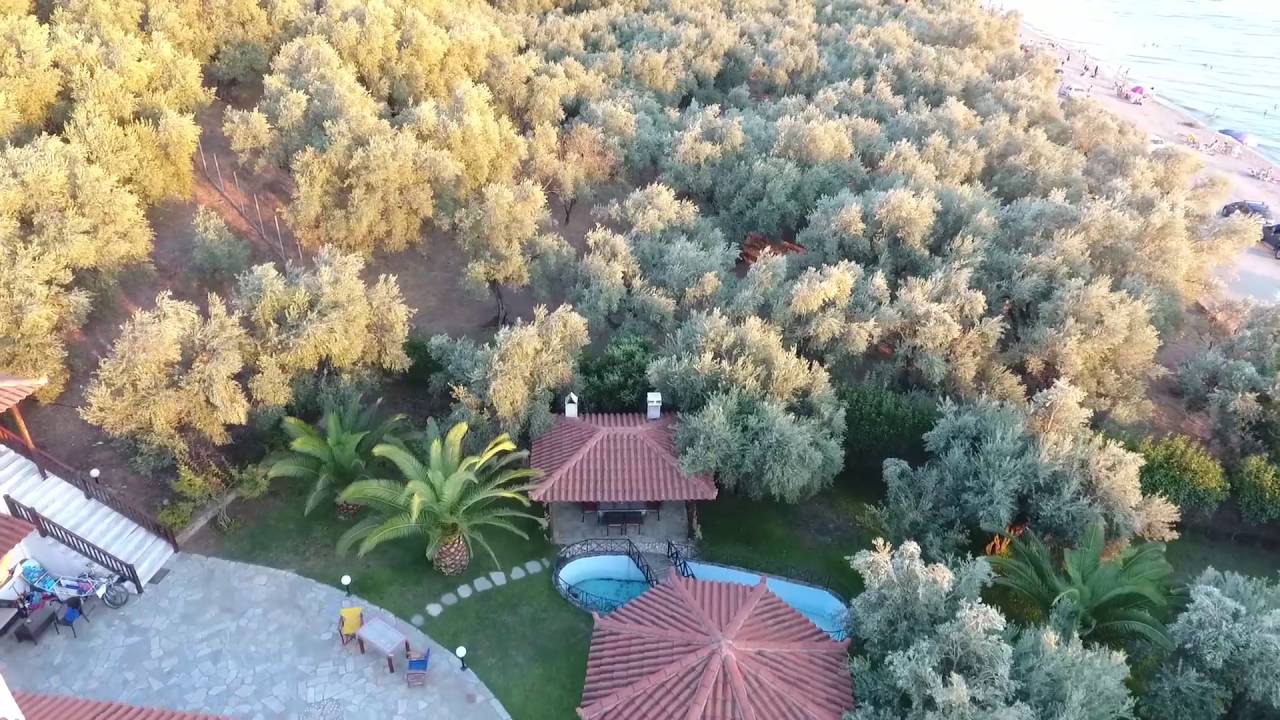 PARADISE Studios & Apartments Afissos Pelion