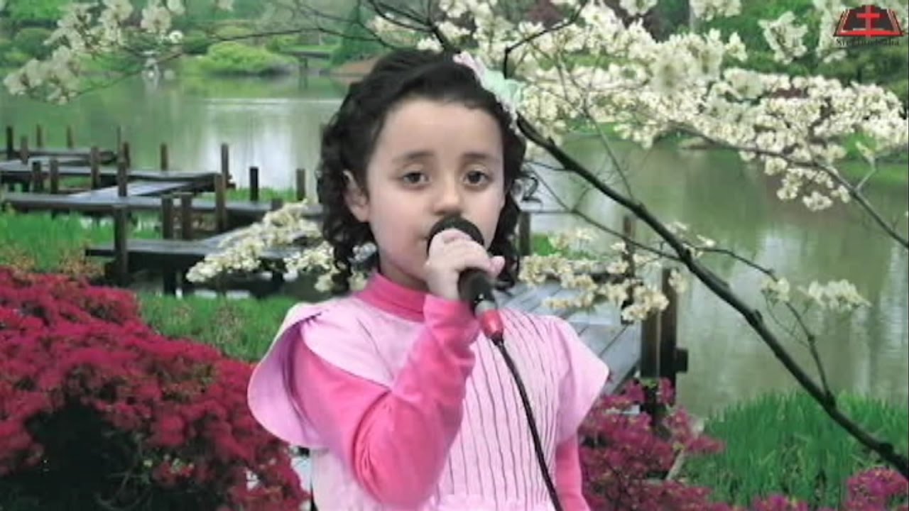 DVD N°33 Estar em Israel