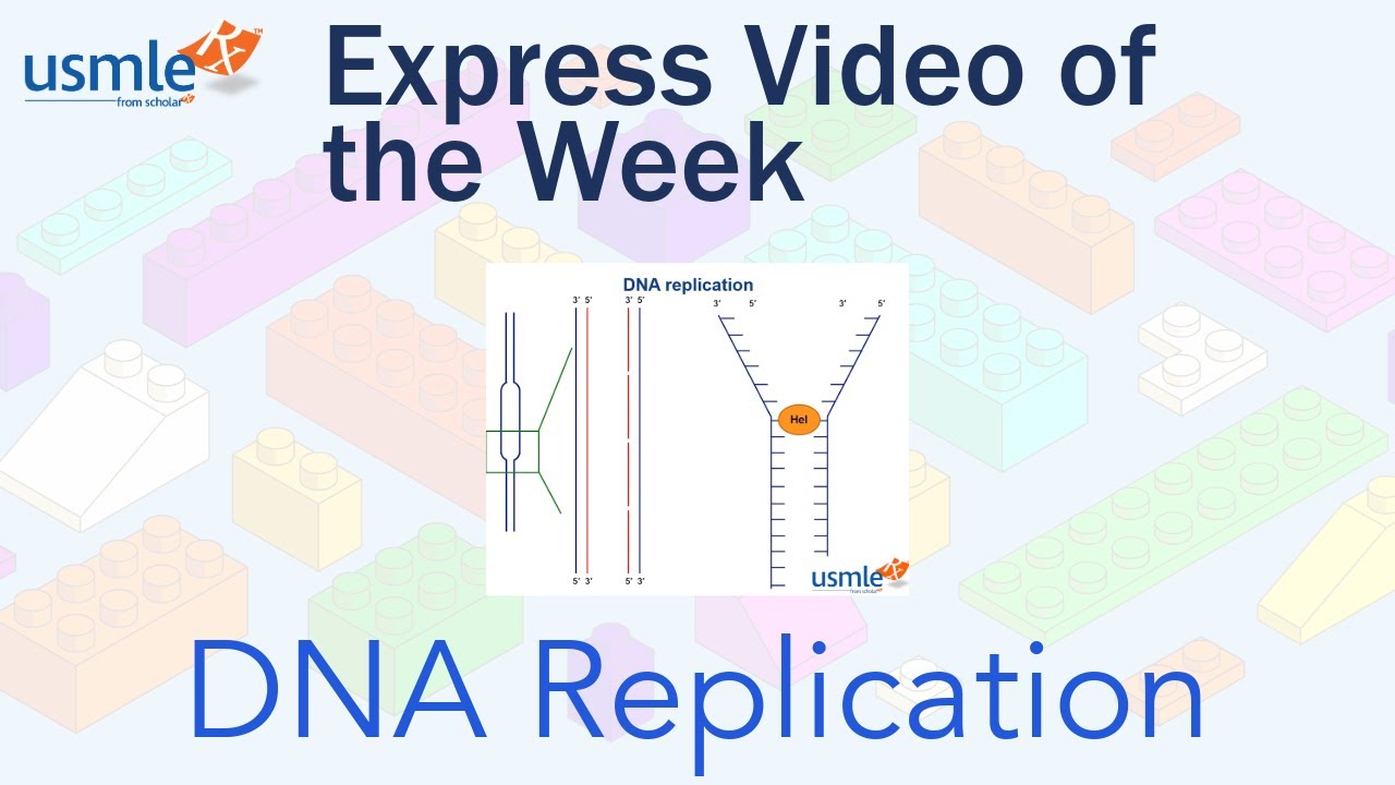DNA Replication