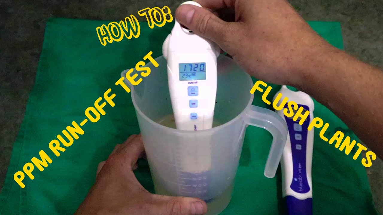 Preforming a PPM Run-off Test/ Flushing Cannabis Plants from Bottled Nutrients