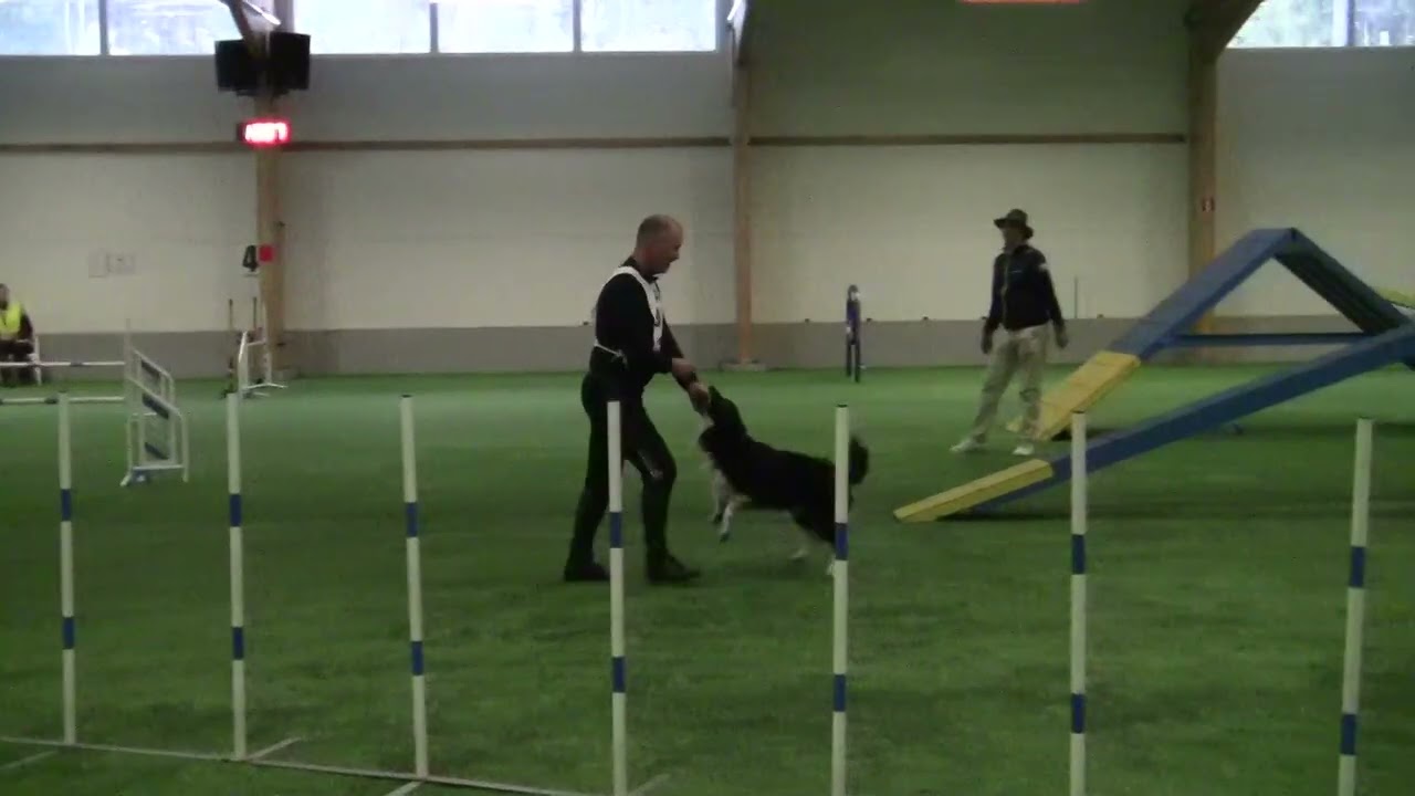 Flit agi1 15022026