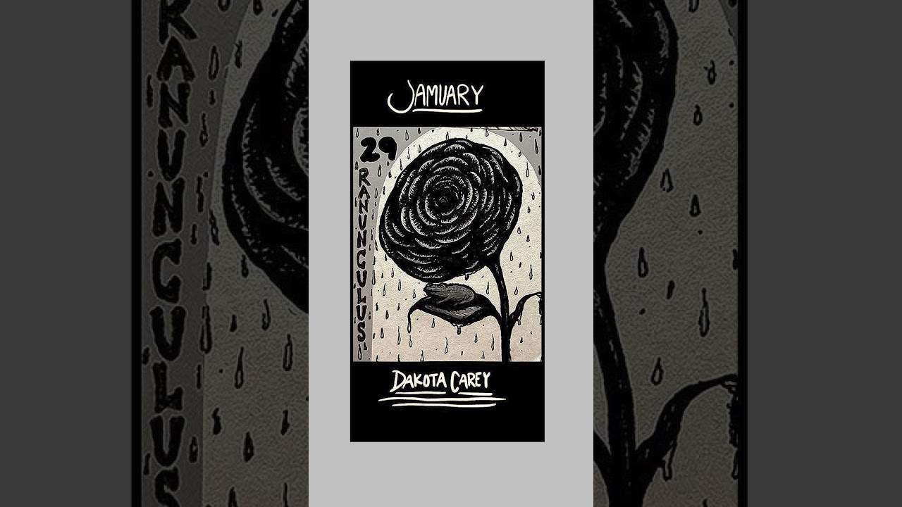 JAMUARY 2026 DAY 29: Ranunculus